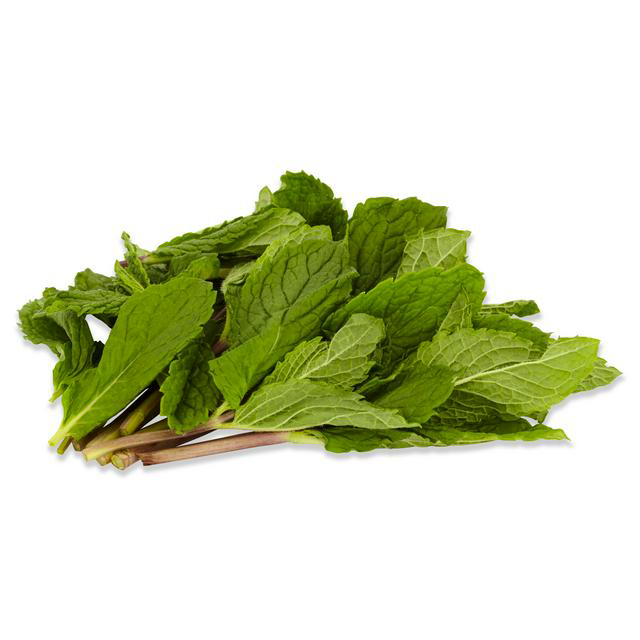 Wrapped Fresh Mint - 150gr