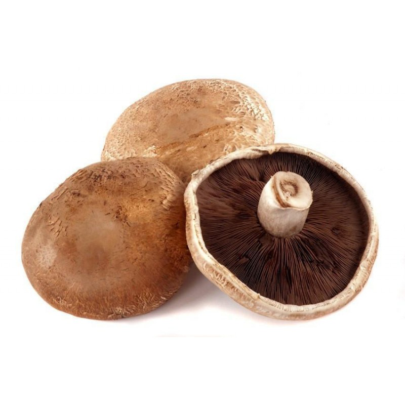 Portobello Mushrooms 500g