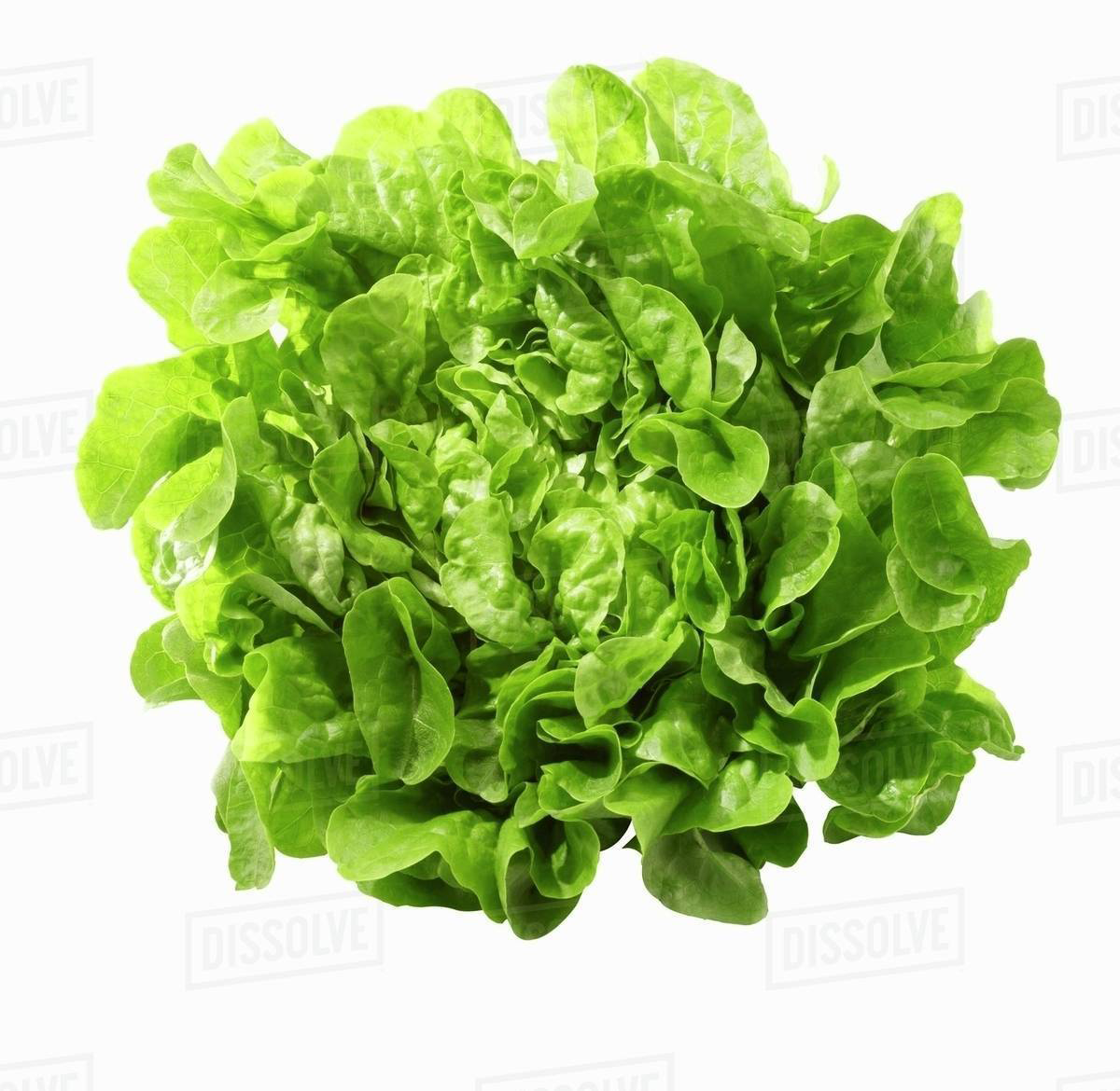 Lettuce Leaves 150g