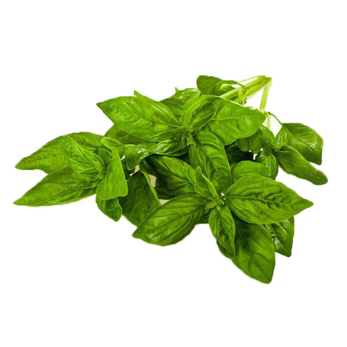 Fresh Packed Basil 30g